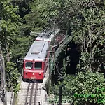 Casa Amarela Guest House - Zona Sul